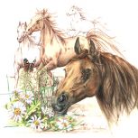 Paard_Horse_Helga_Martare_450x450_0006_13acomp. paarden met gras.jpg...