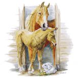 Paard_Horse_Helga_Martare_450x450_0008_9a paard veulen stal konijn copy.jpg...