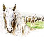 Paard_Horse_Helga_Martare_450x450_0013_6a grijs en bruin paard.jpg...