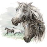 Paard_Horse_Helga_Martare_450x450_0014_6 grijs en bruin paard.jpg...